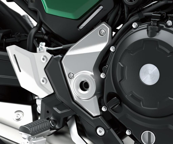 Swingarms Skruv Kåpor (Z650RS)