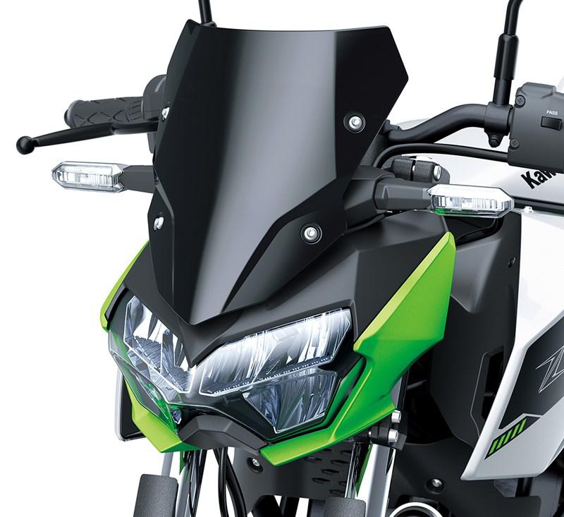 Stort Rökfärgat Instrumentskydd (Z e-1)