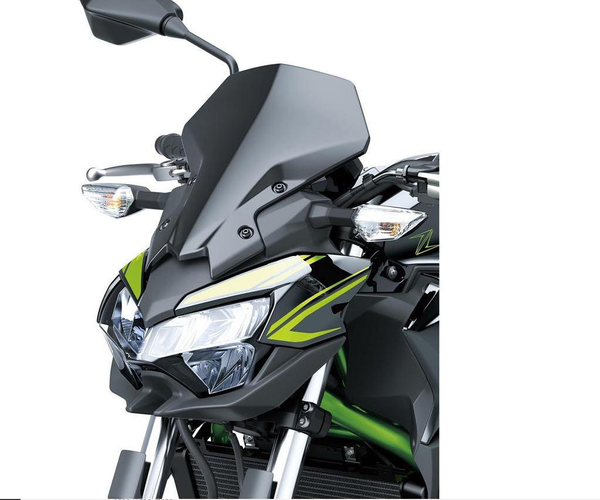Stort Rökfärgat Instrumentskydd (Z650)