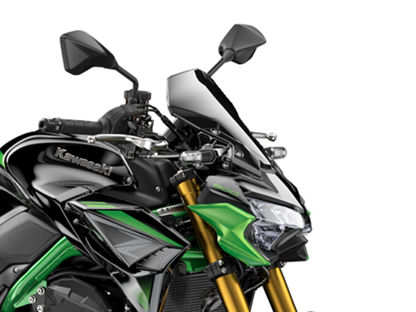 Stort Rökfärgat Instrumentskydd (Z900/70kW/SE)