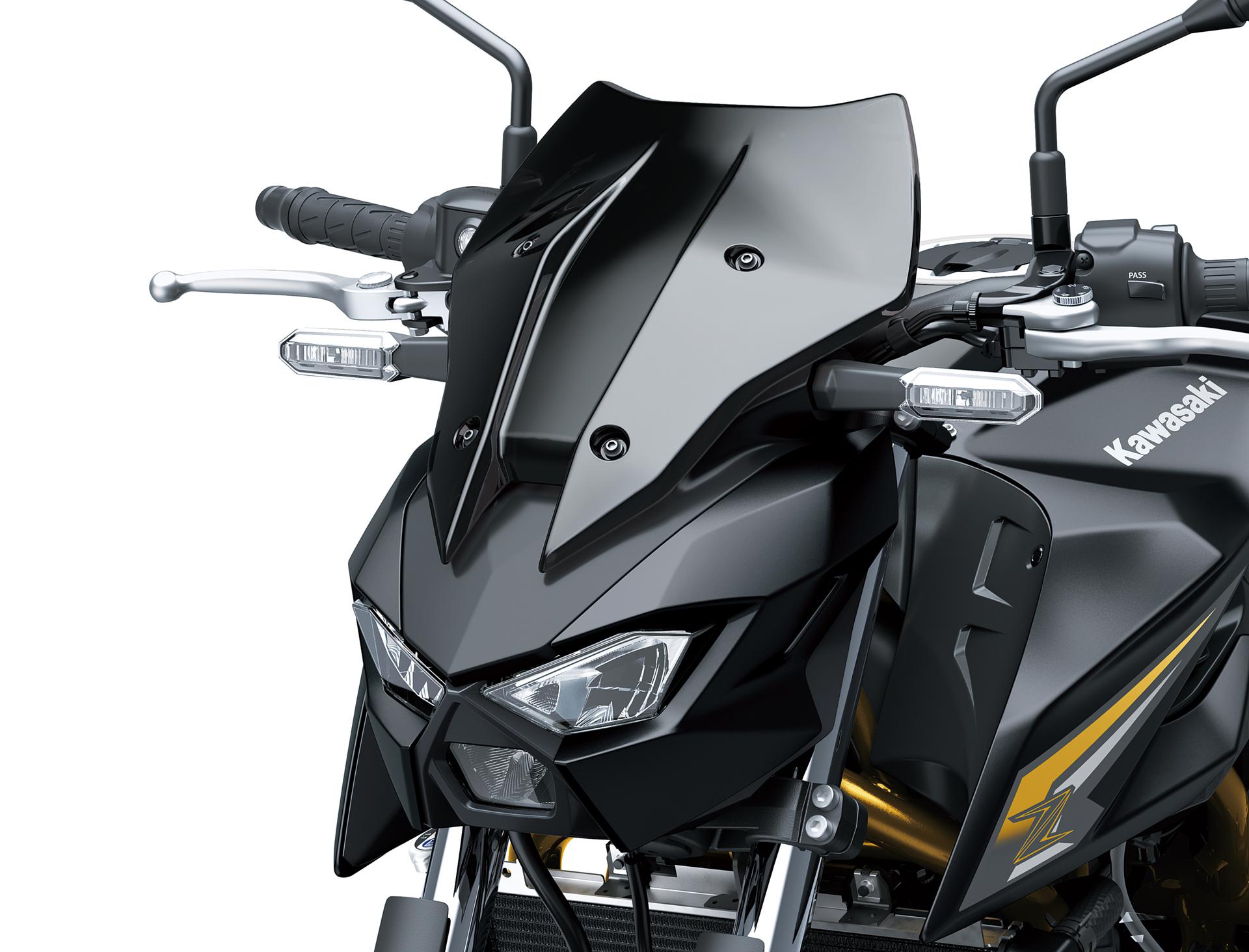 Stort Rökfärgat Instrumentskydd (Z650 S)