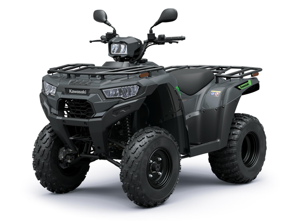 BRUTE FORCE 300 T-CAT