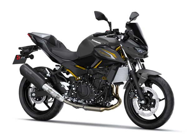 Z500 Performance Remus